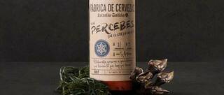 Cerveza con percebes gallegos