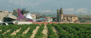 Ruta del vino en la Rioja Alavesa