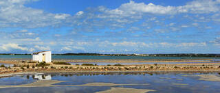 Formentera estrena una Ruta Birding