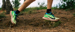 Nike Pegasus Trail 2