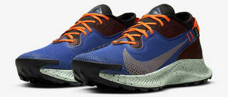 Nike Pegasus Trail 2 Gore-Tex