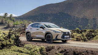 Lexus NX Overtrail